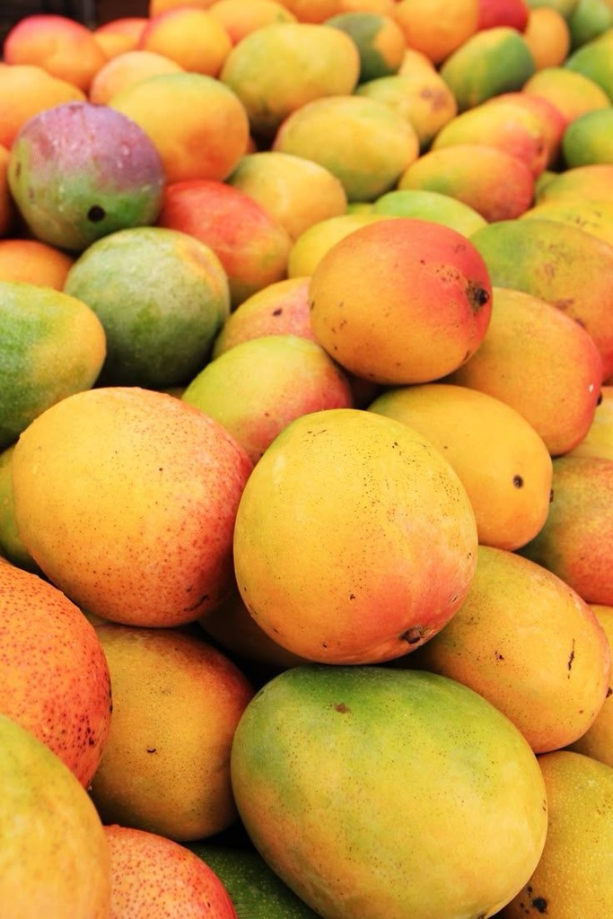 Mango