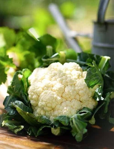 cauliflower