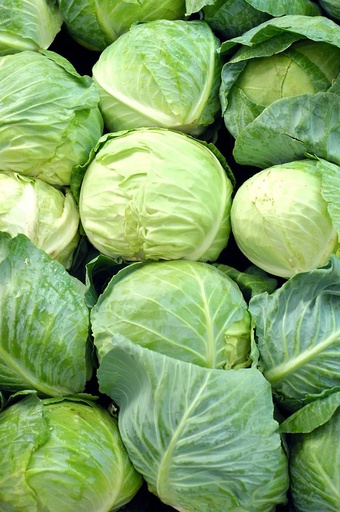 Cabbages